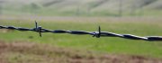 BarbedWire