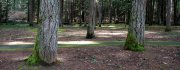 GardenPath