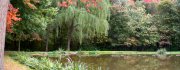 IASPond