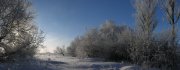 MorningMist2