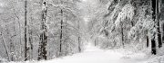 SnowPath