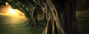 Tree(2)